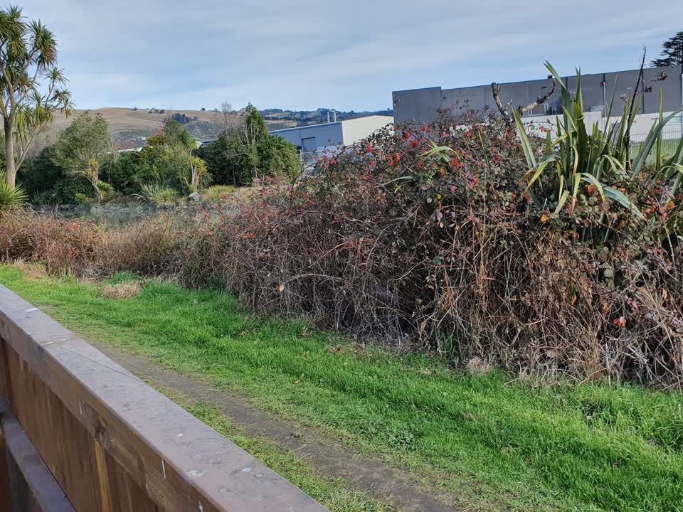 The photograph attached to this parks report