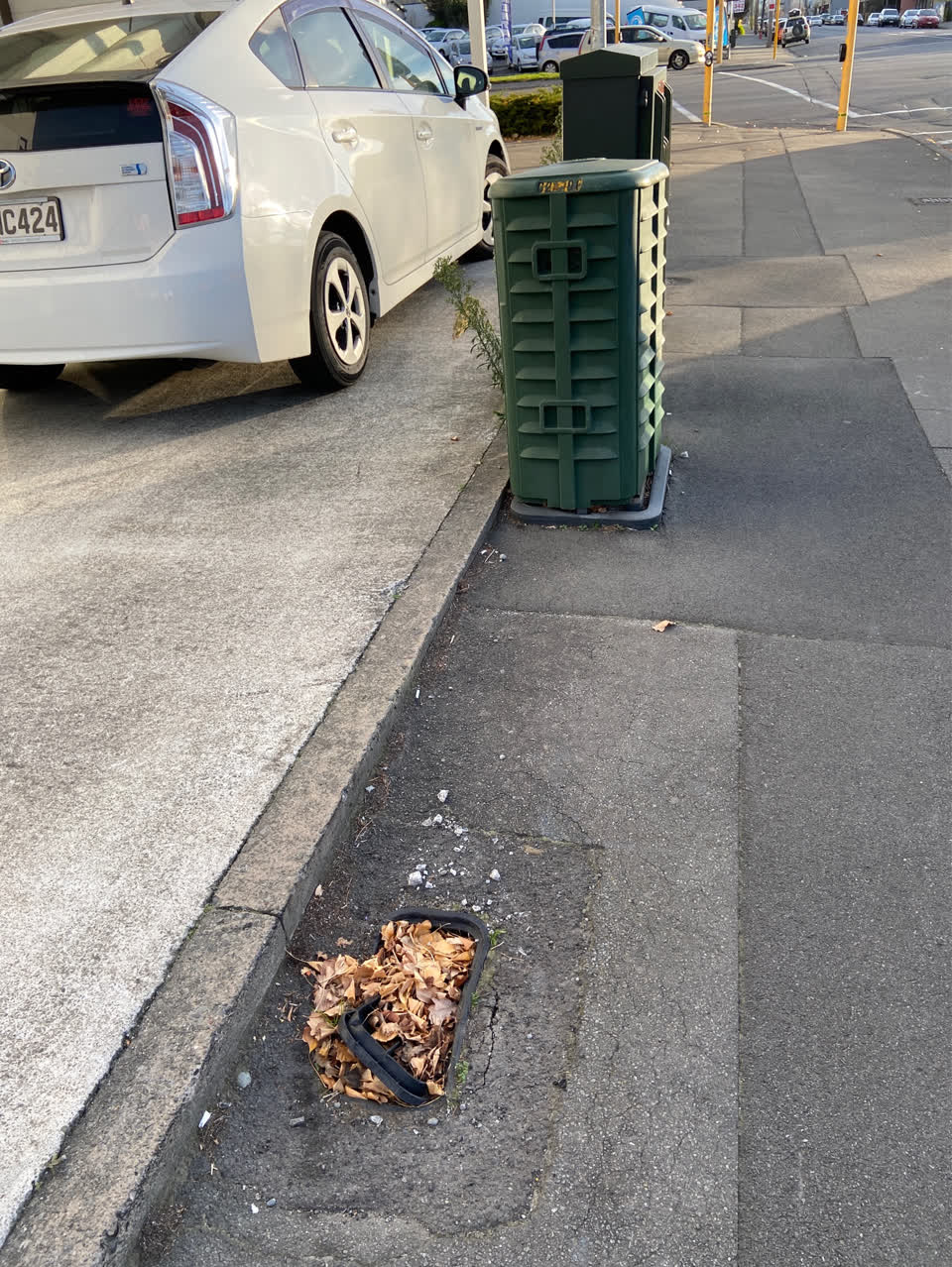 The photograph attached to this roading/streets report