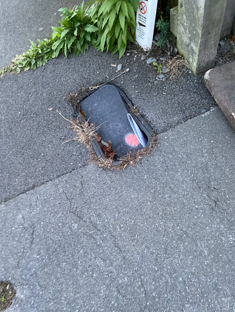 The photograph attached to this roading/streets report