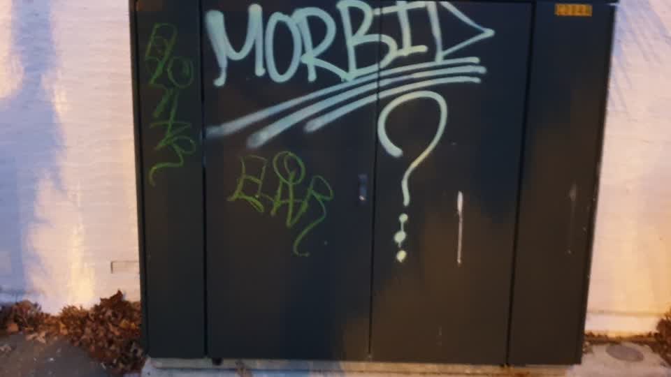 The photograph attached to this graffiti report