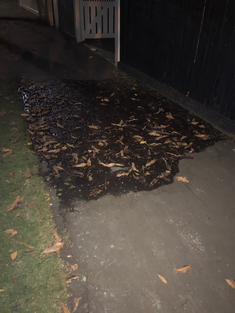 The photograph attached to this water supply report
