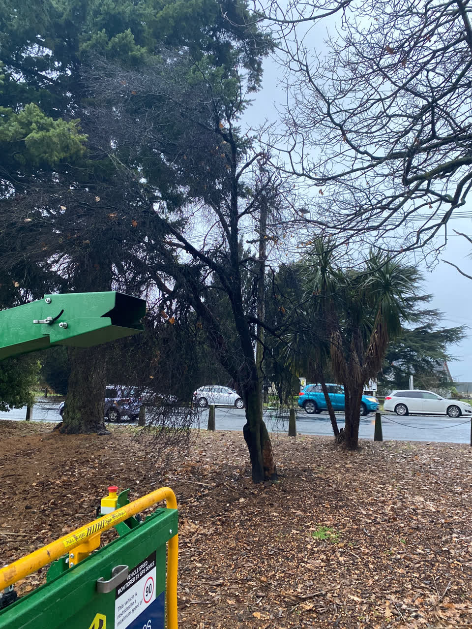 The photograph attached to this parks report