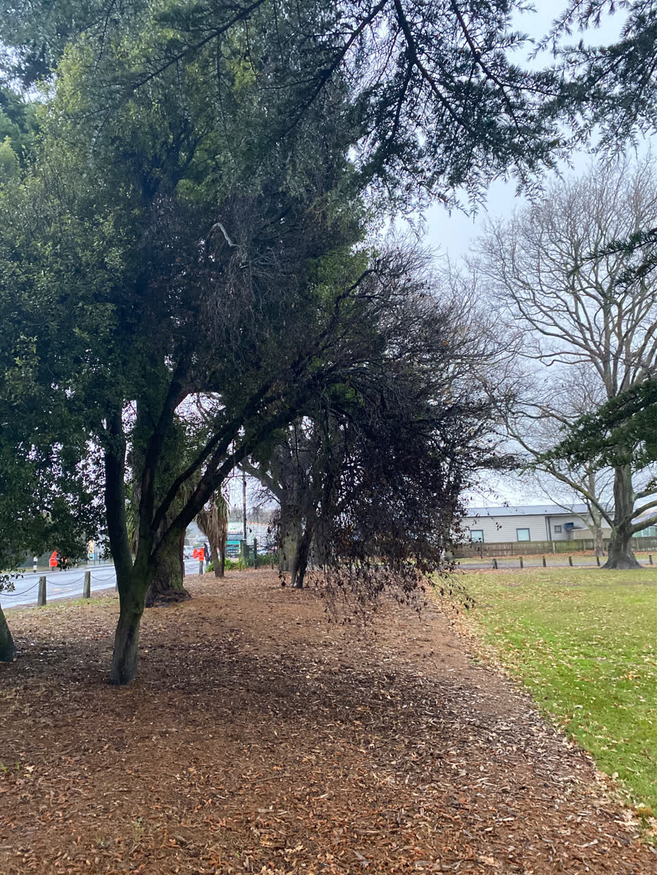 The photograph attached to this parks report