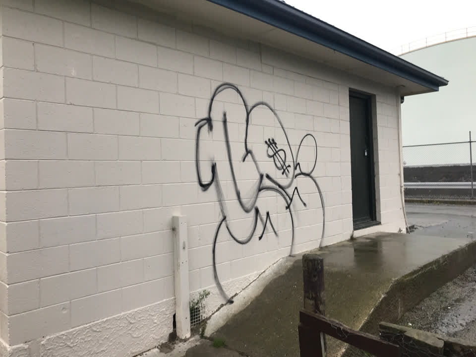The photograph attached to this graffiti report