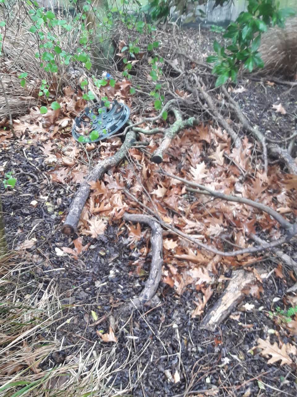 The photograph attached to this parks report