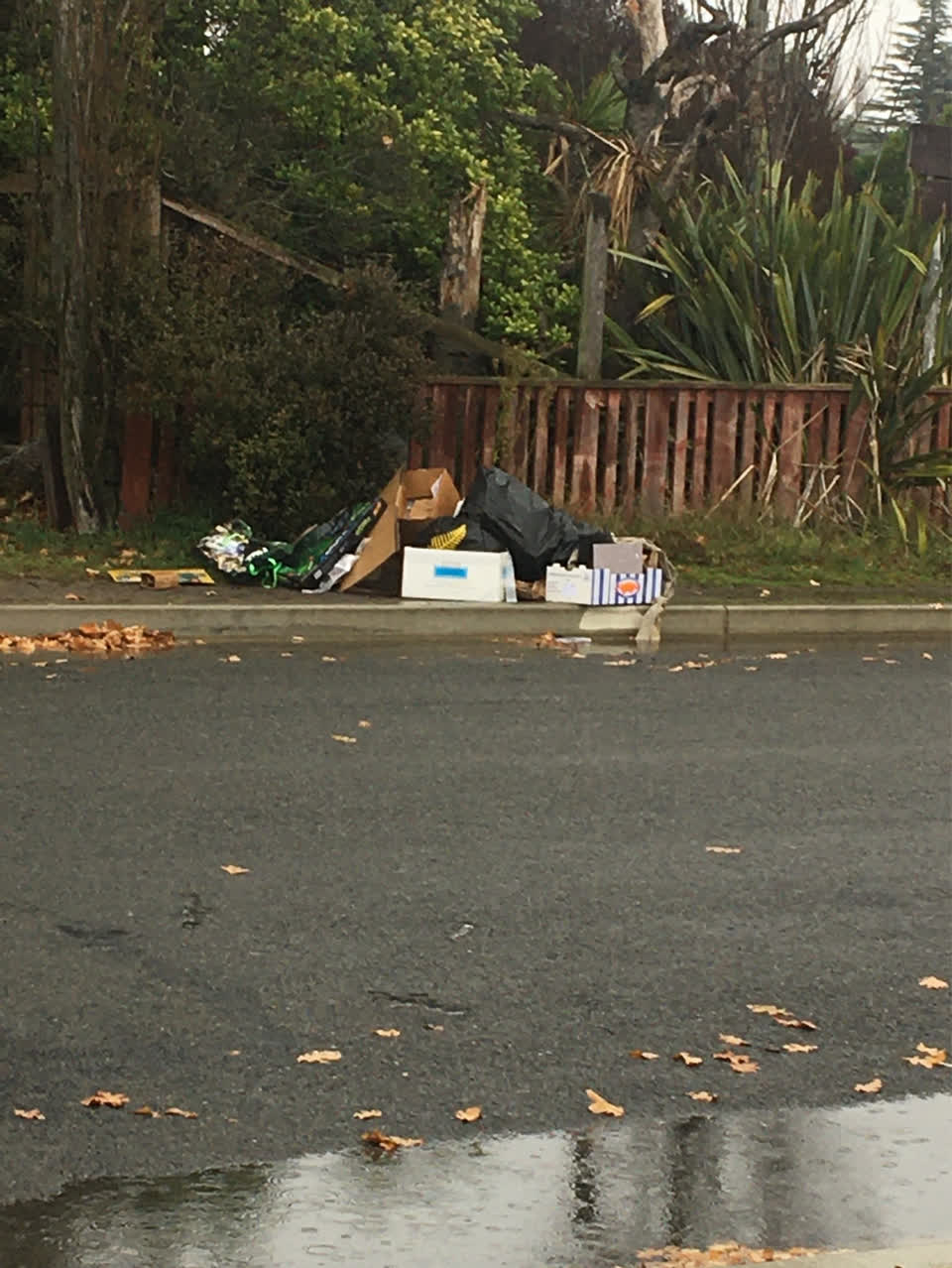 The photograph attached to this rubbish/recycling report