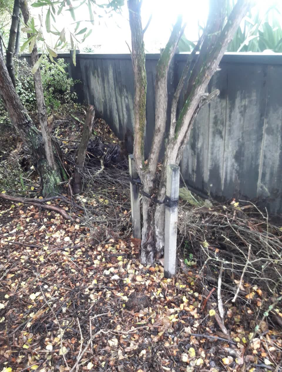 The photograph attached to this parks report