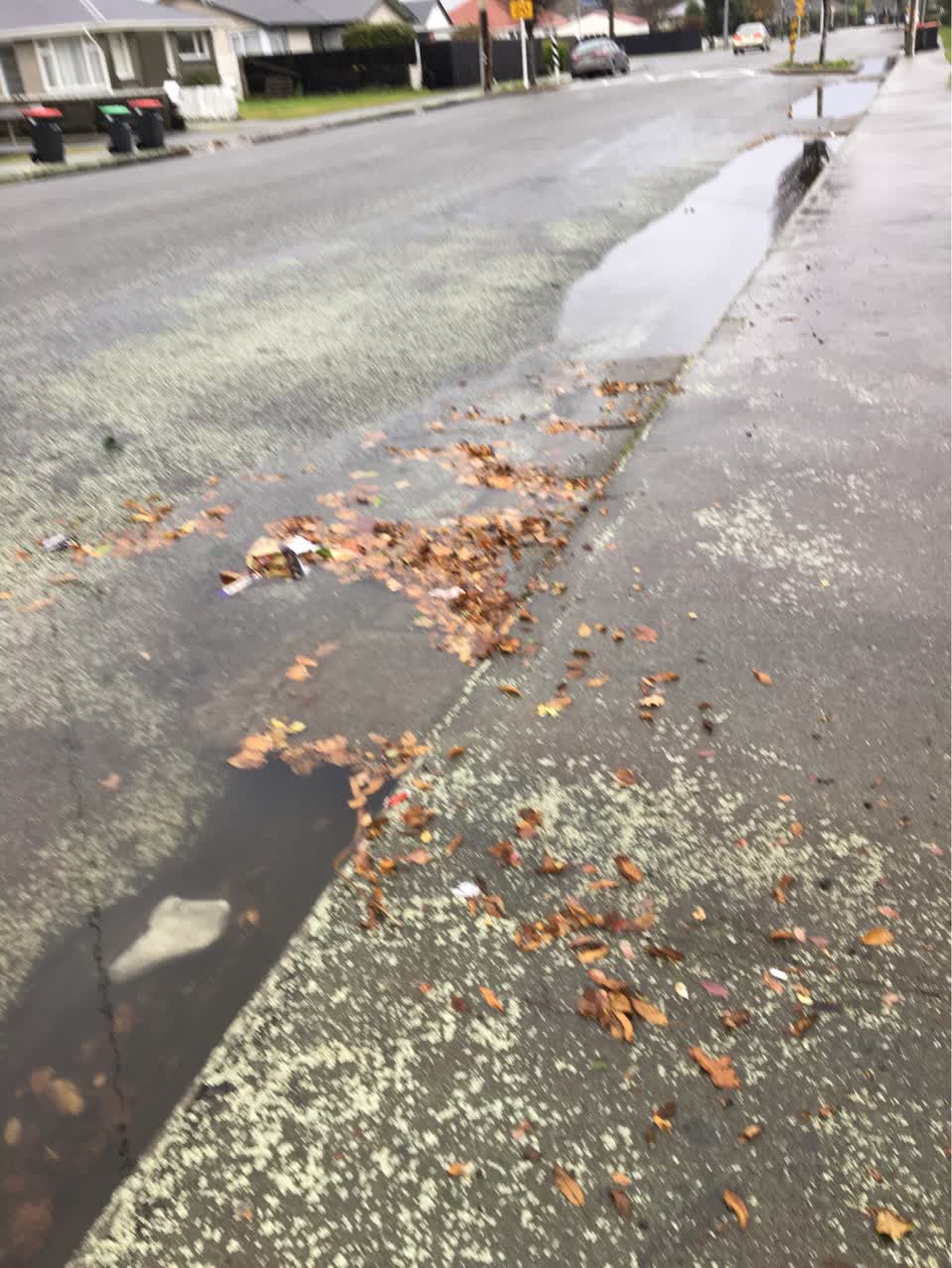 The photograph attached to this flooding report
