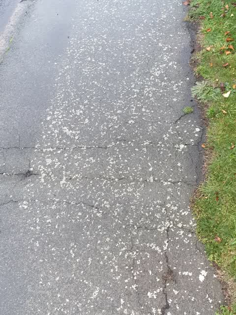 Roading/Streets, a report photo