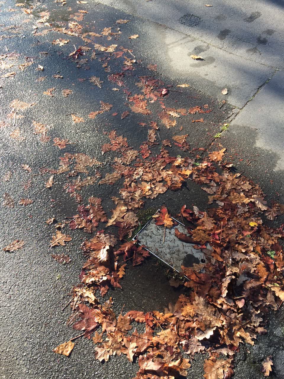 The photograph attached to this water supply report