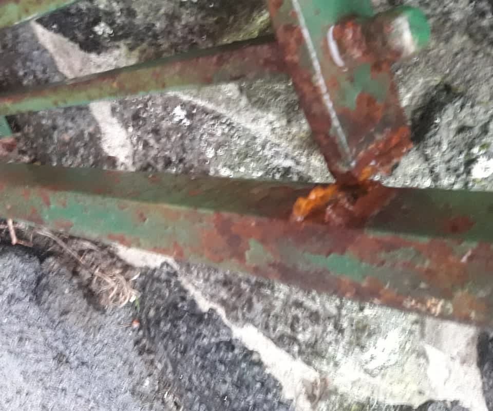 The photograph attached to this parks report