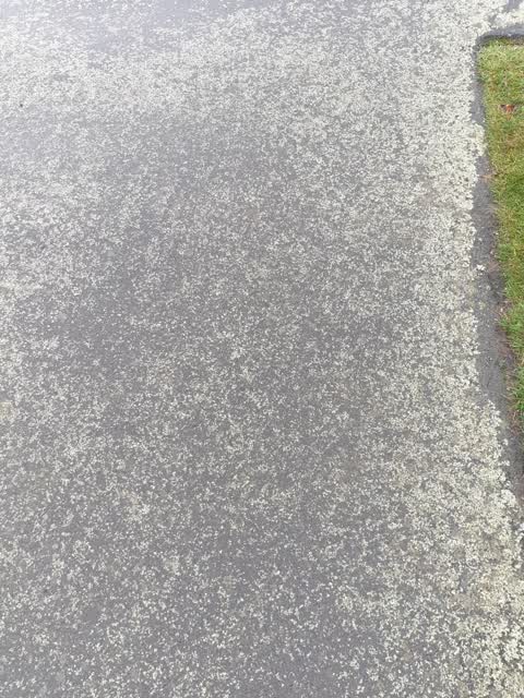 Roading/Streets, a report photo