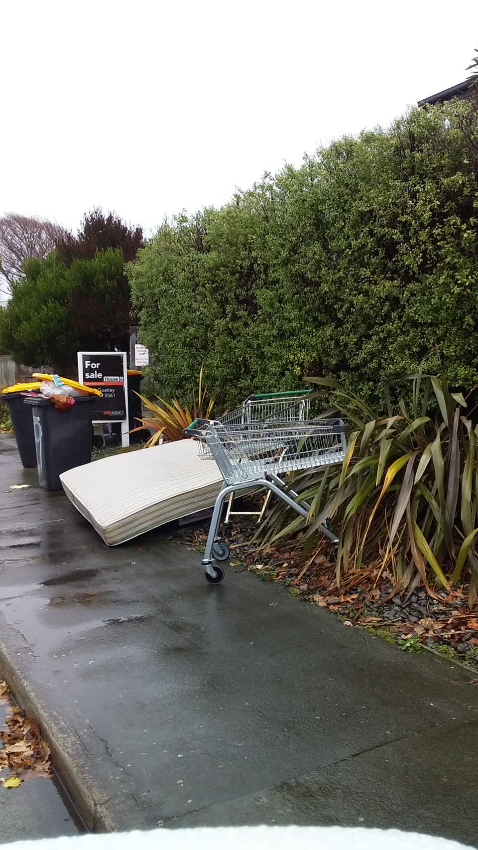 The photograph attached to this rubbish/recycling report