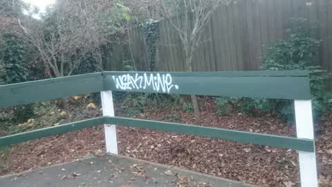 Graffiti, a report photo