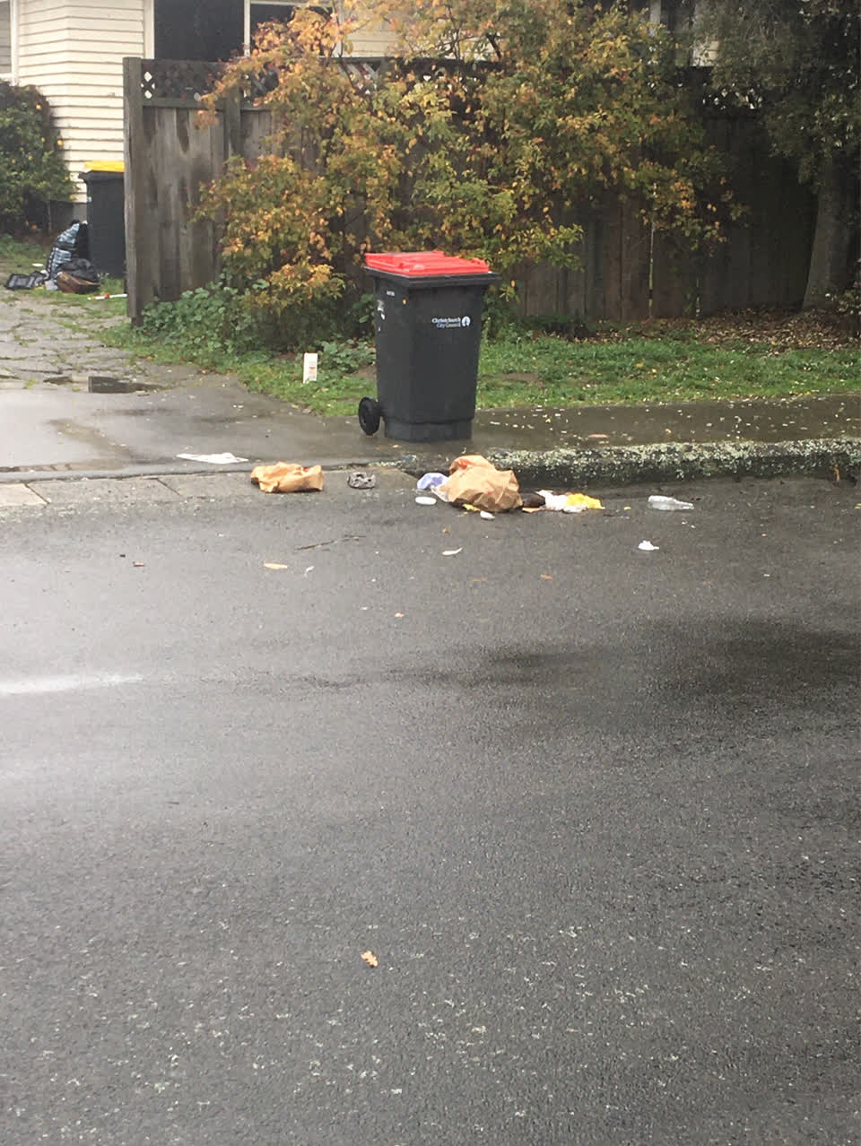 The photograph attached to this rubbish/recycling report