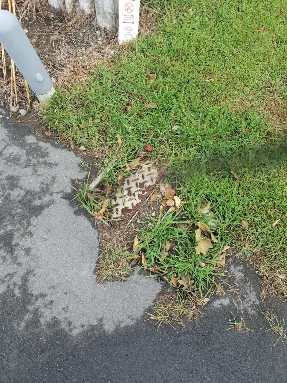 The photograph attached to this water supply report