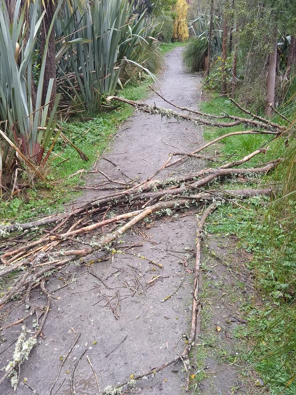 The photograph attached to this parks report
