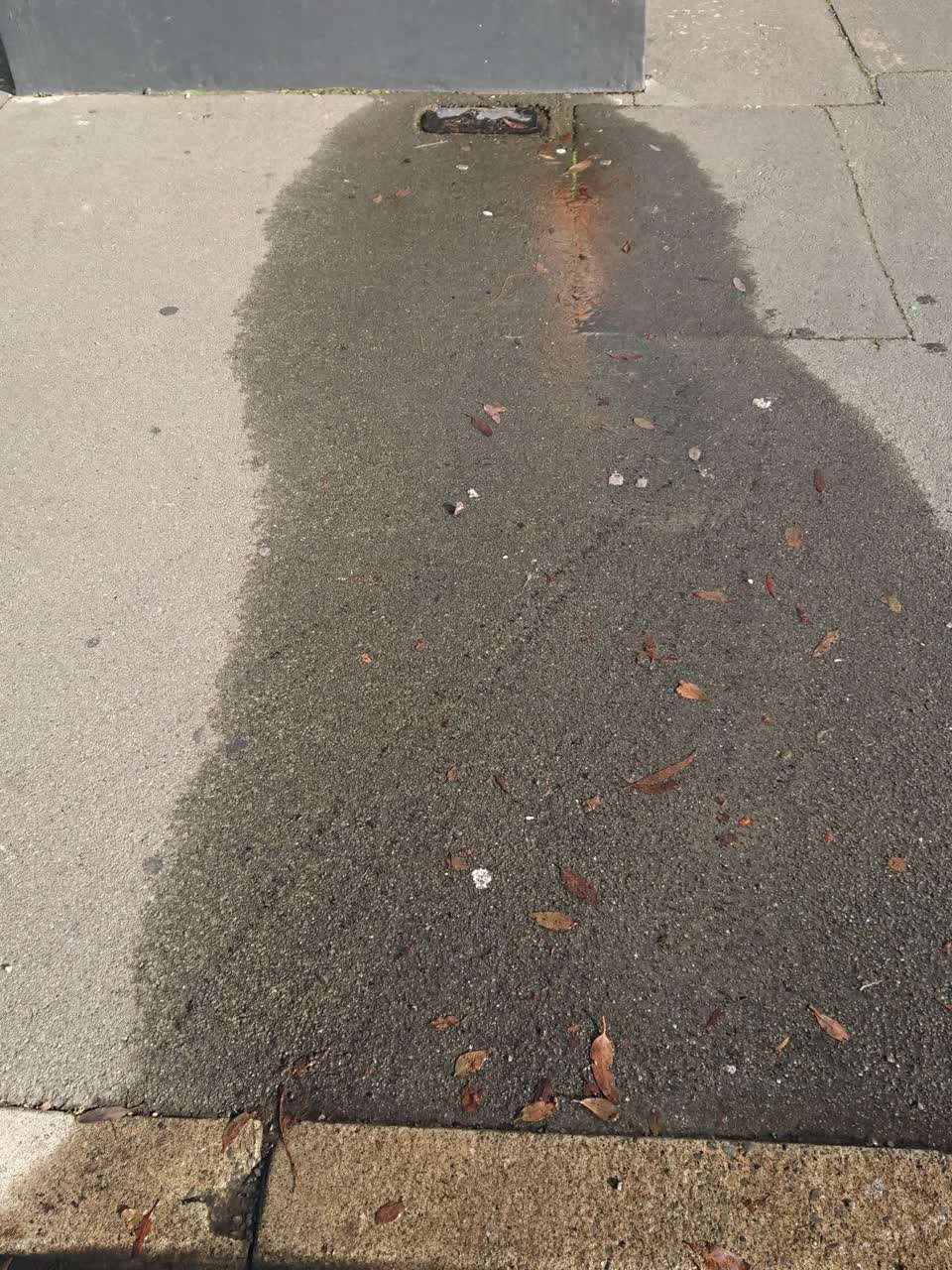 The photograph attached to this water supply report