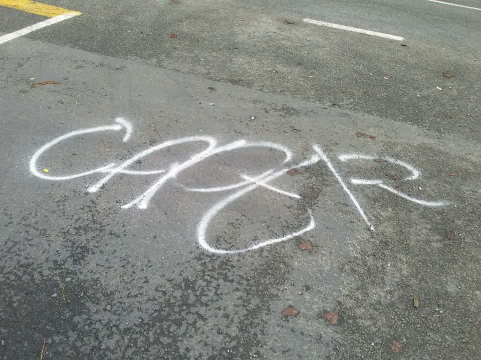 The photograph attached to this graffiti report