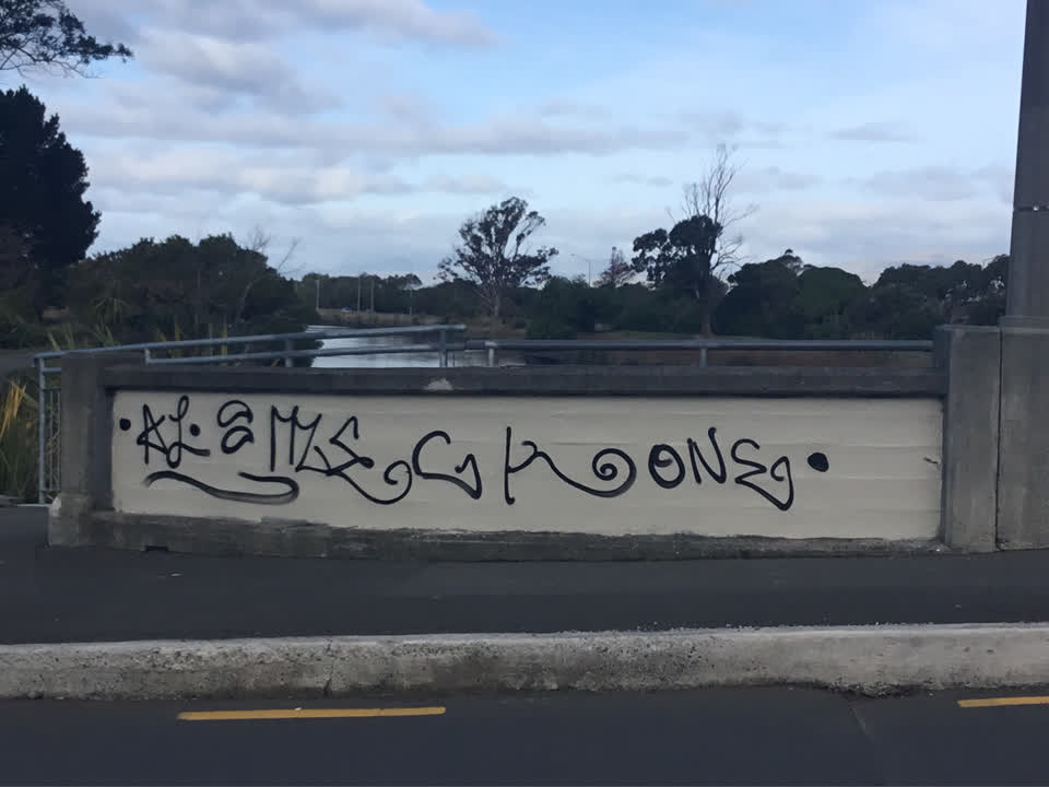 The photograph attached to this graffiti report