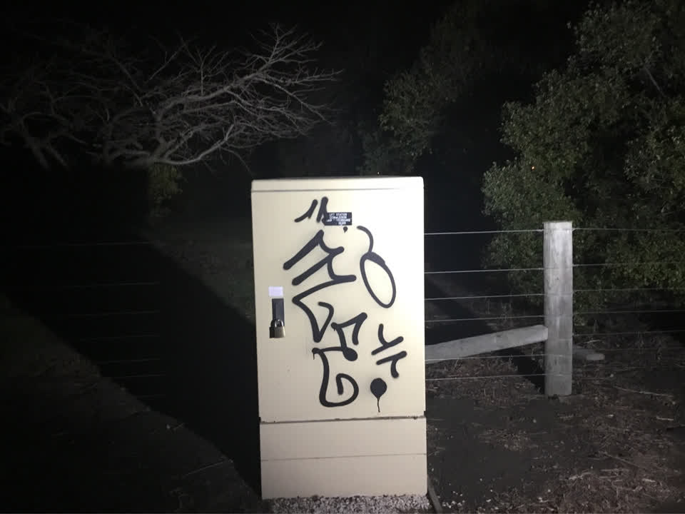 The photograph attached to this graffiti report