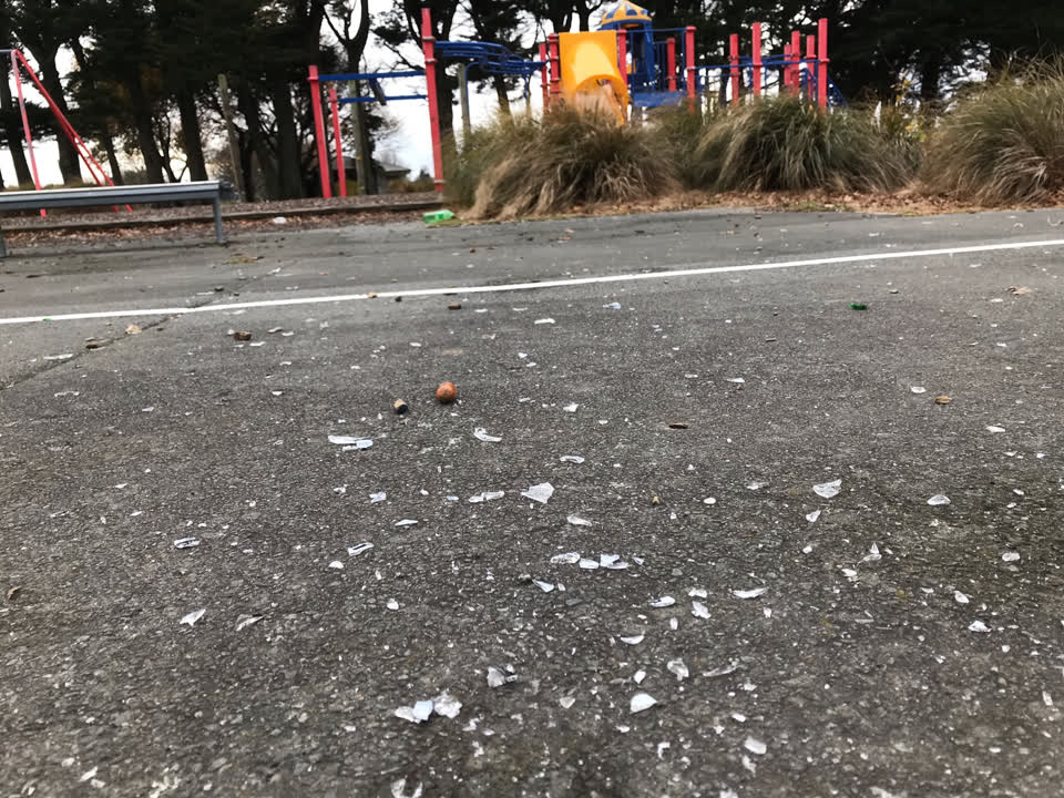 The photograph attached to this parks report