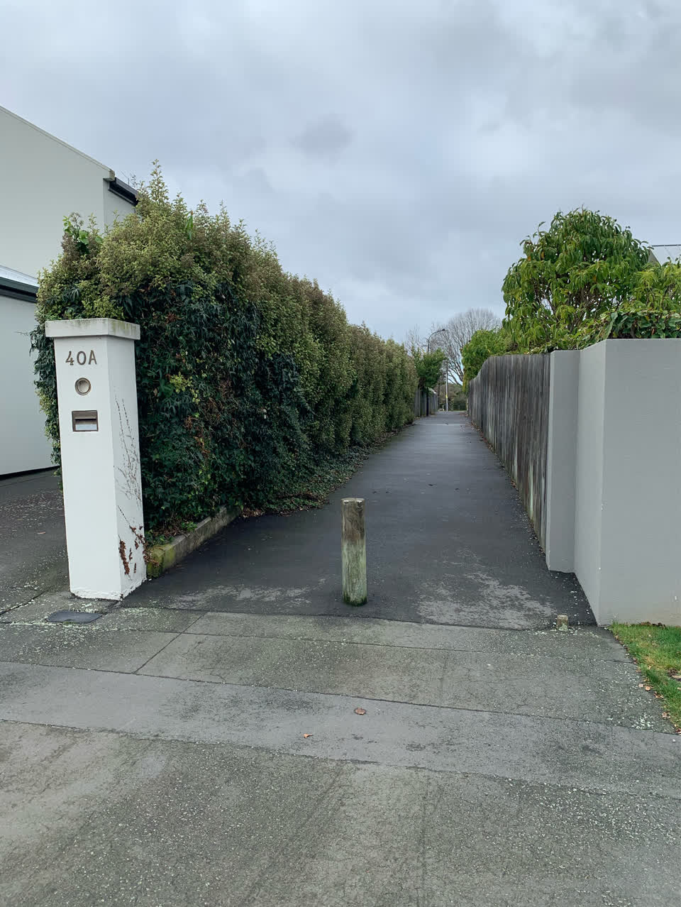 The photograph attached to this parks report