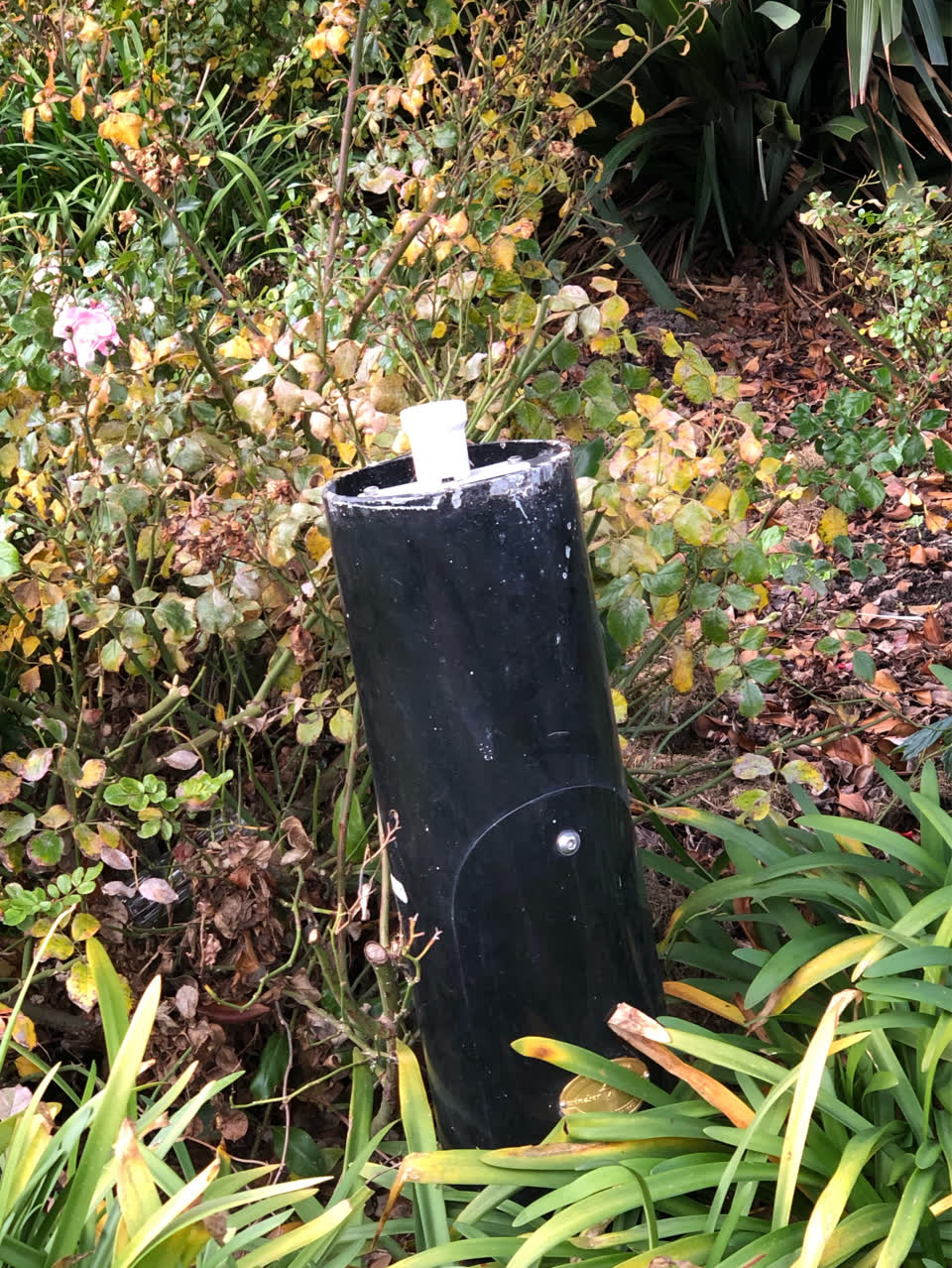 The photograph attached to this parks report