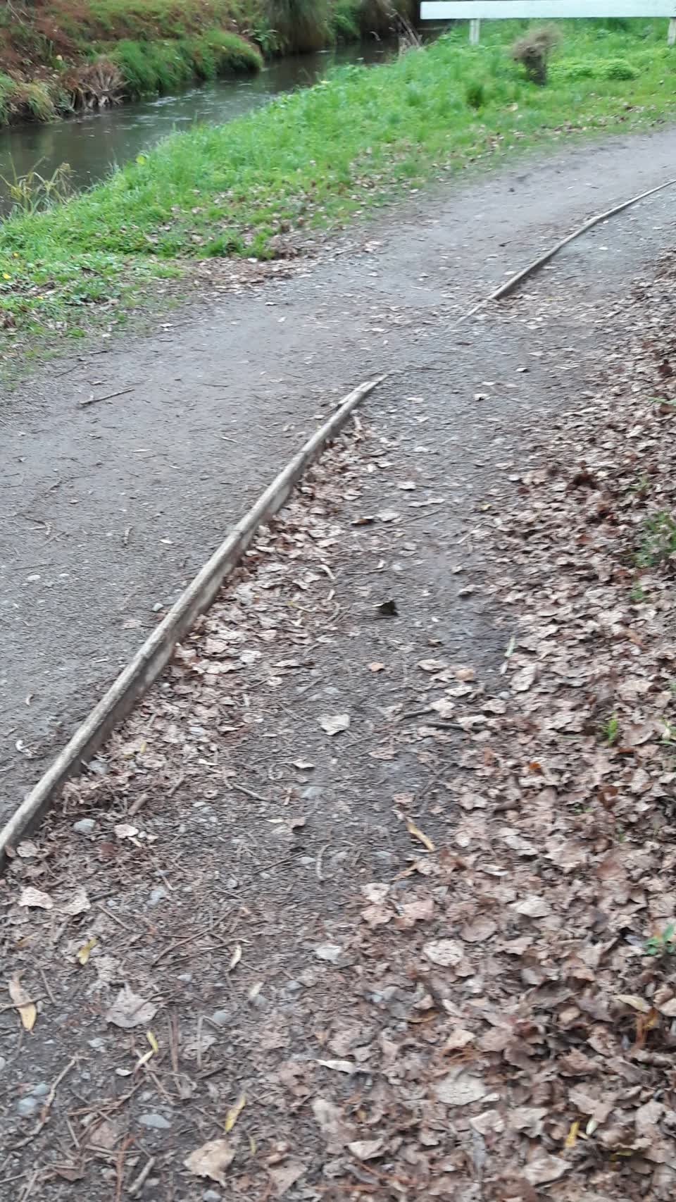 The photograph attached to this parks report