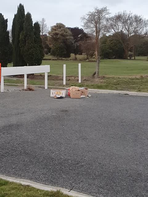 Rubbish/Recycling, a report photo