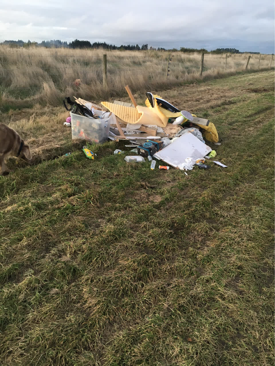The photograph attached to this rubbish/recycling report