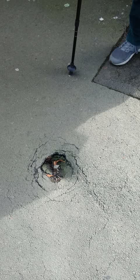 Roading/Streets, a report photo