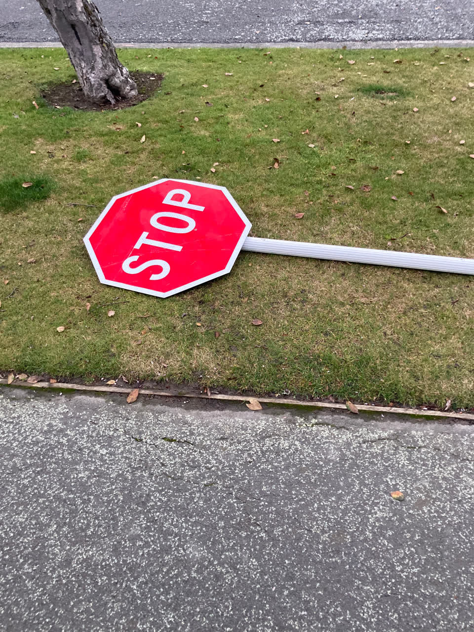 The photograph attached to this roading/streets report