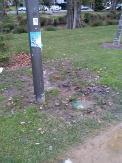 Parks, a report photo