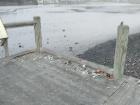 Parks, a report photo