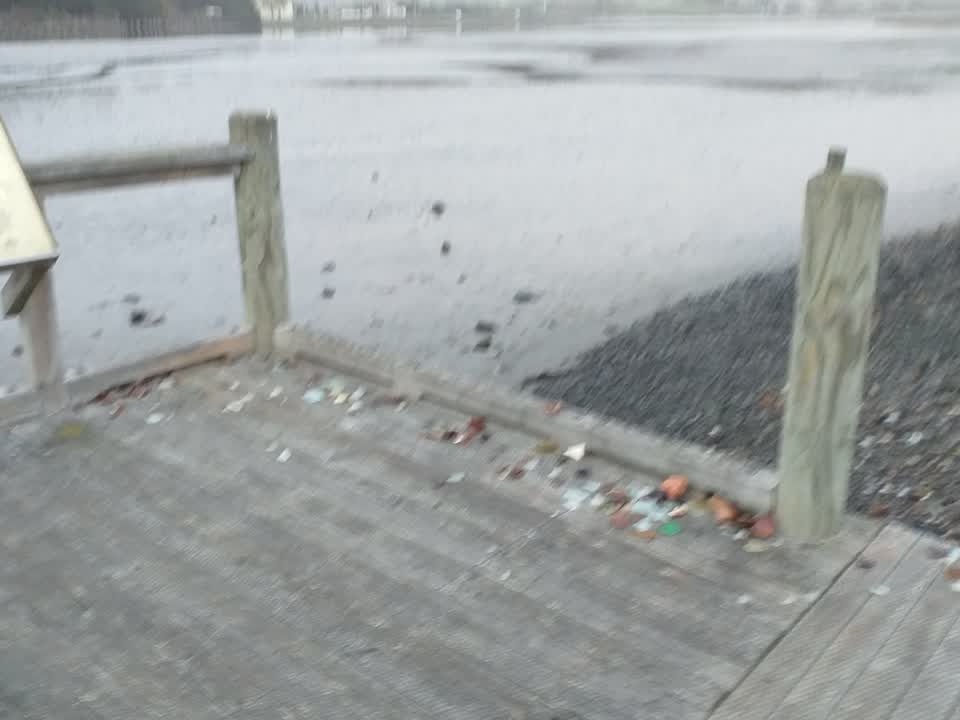 The photograph attached to this parks report
