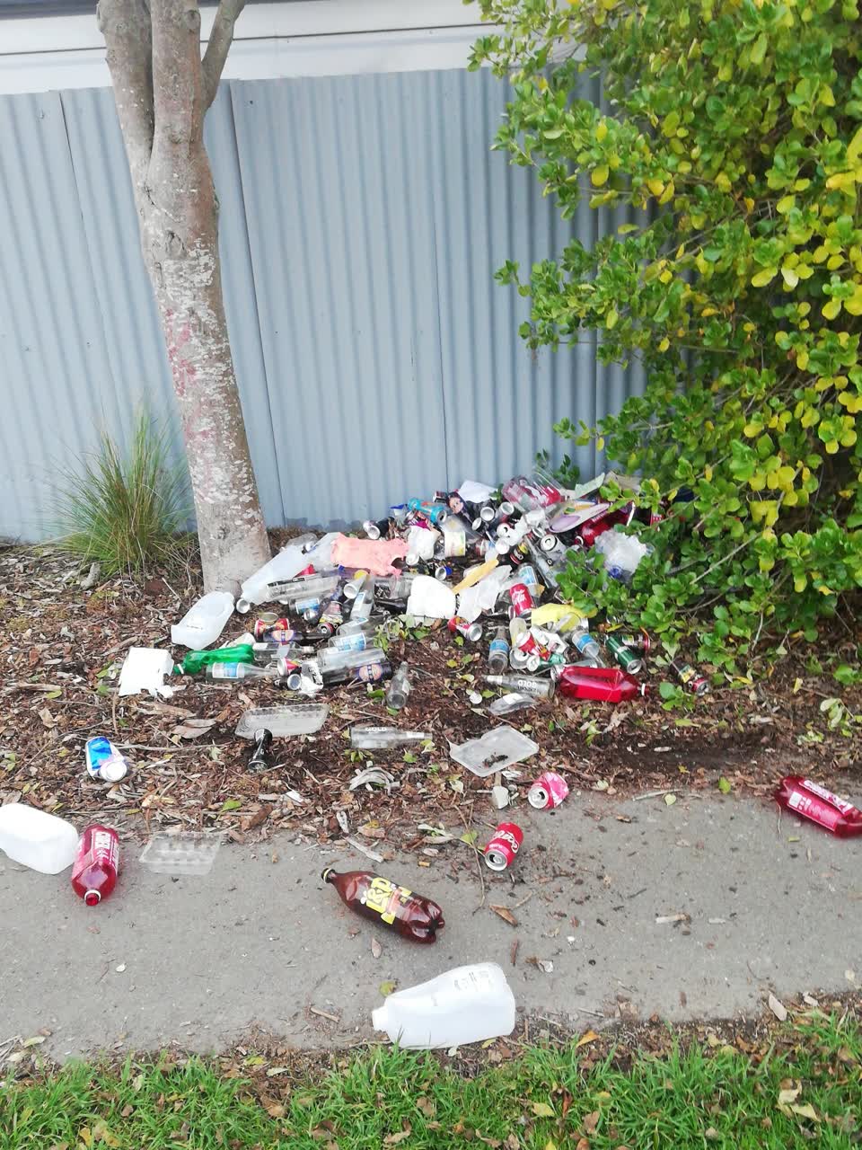 The photograph attached to this rubbish/recycling report