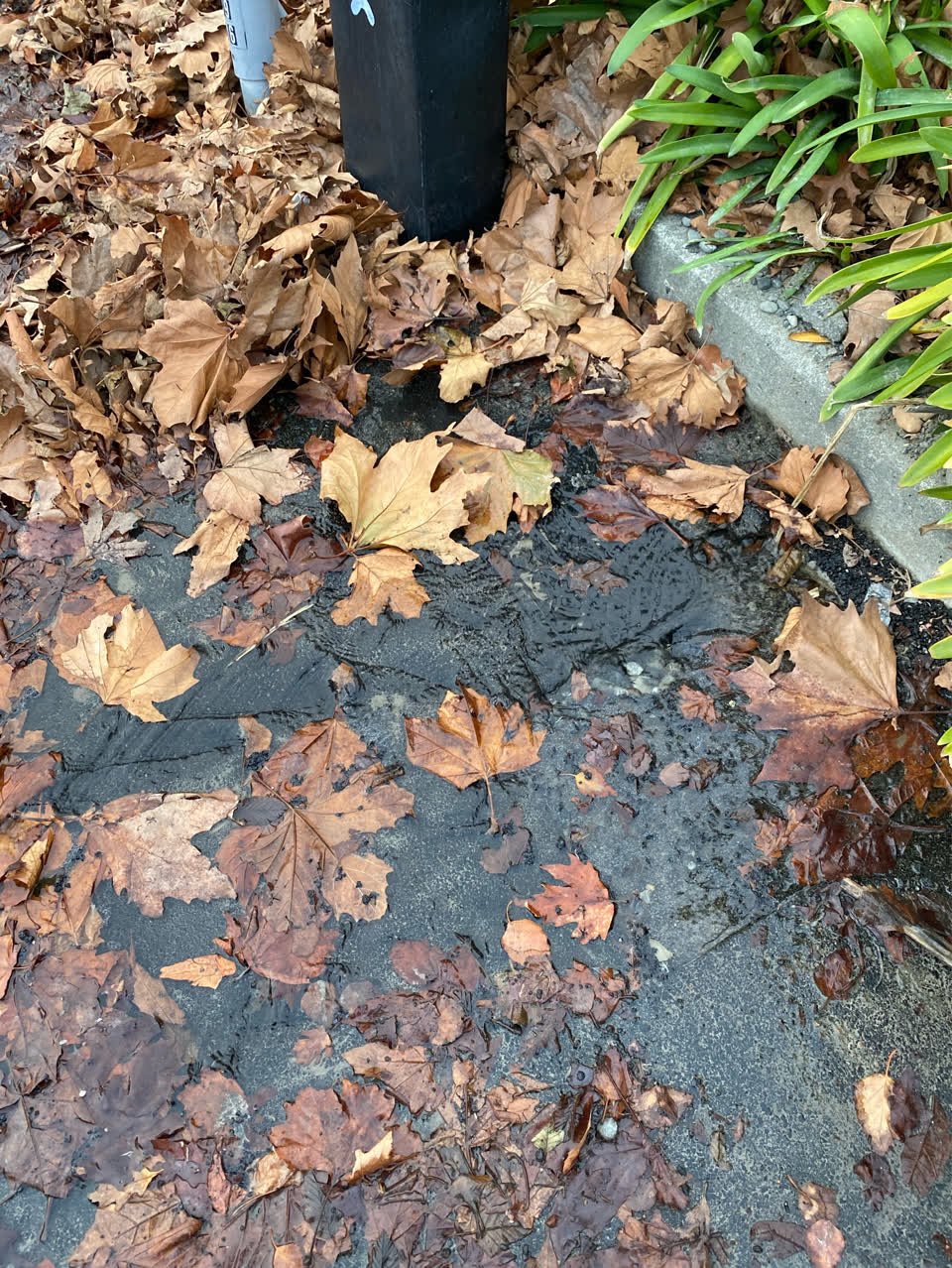 The photograph attached to this flooding report