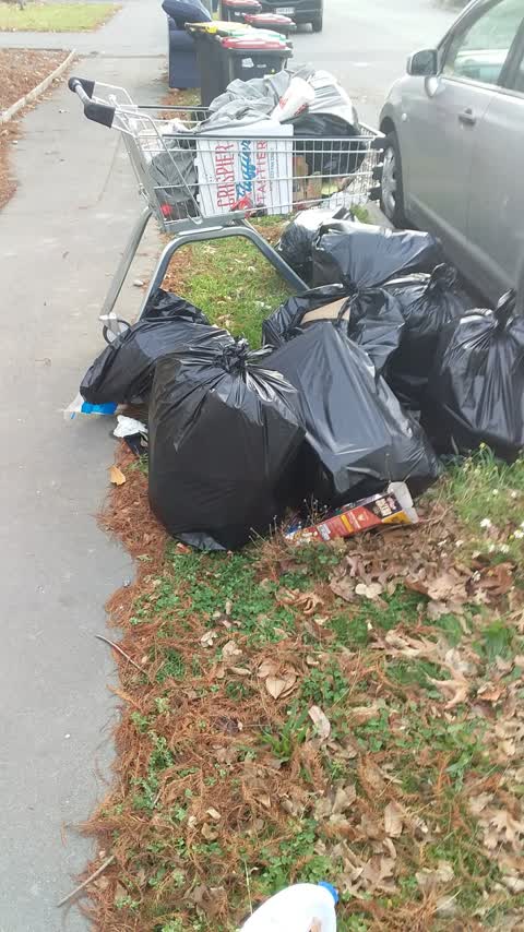 Rubbish/Recycling, a report photo