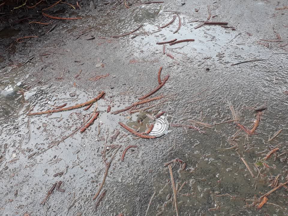 The photograph attached to this water supply report
