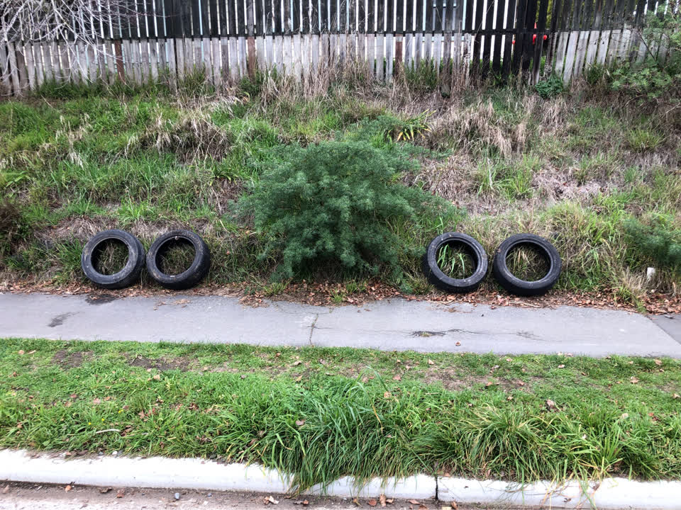 The photograph attached to this rubbish/recycling report