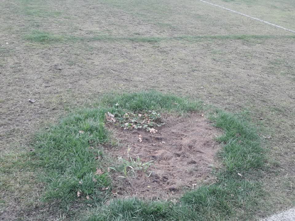 The photograph attached to this parks report