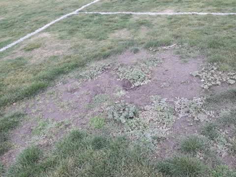 Parks, a report photo