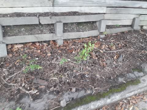 Parks, a report photo