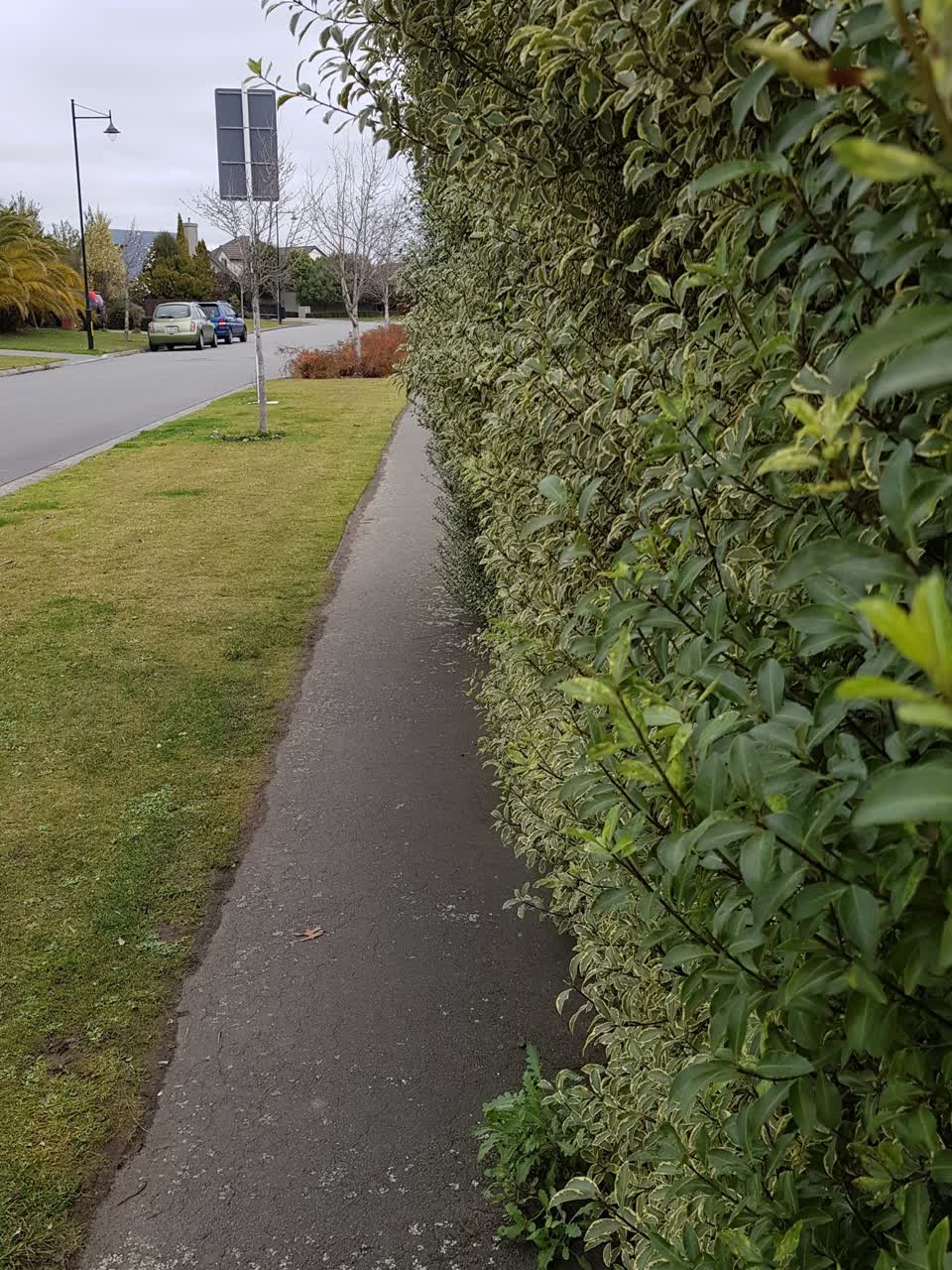 The photograph attached to this roading/streets report