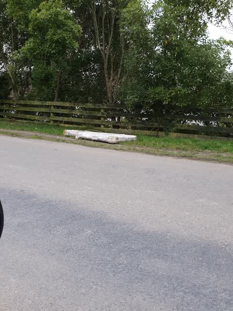Rubbish/Recycling, a report photo