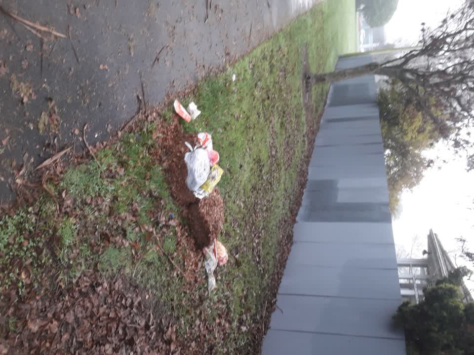The photograph attached to this parks report
