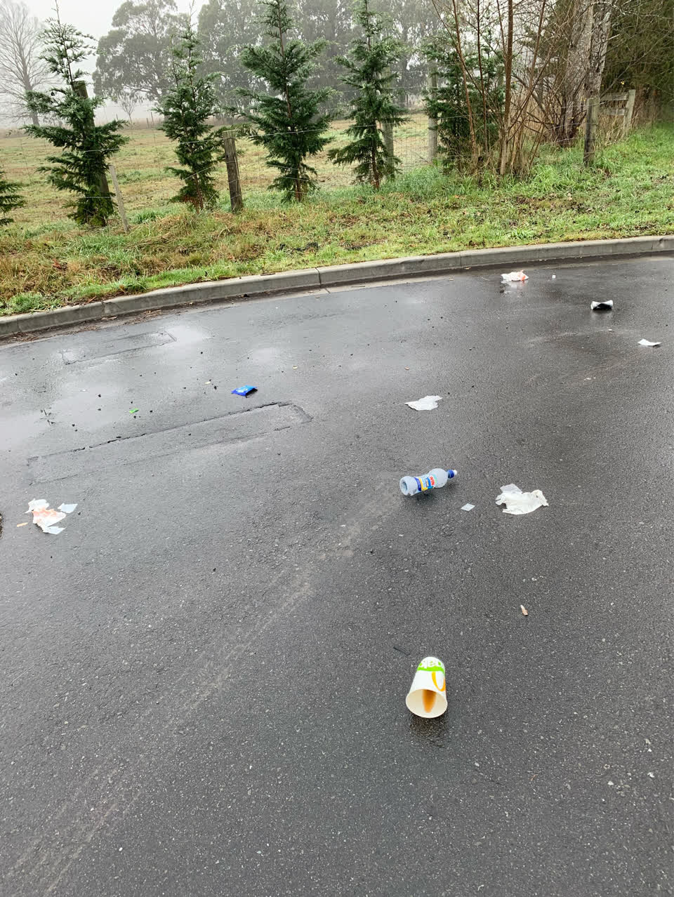 The photograph attached to this rubbish/recycling report