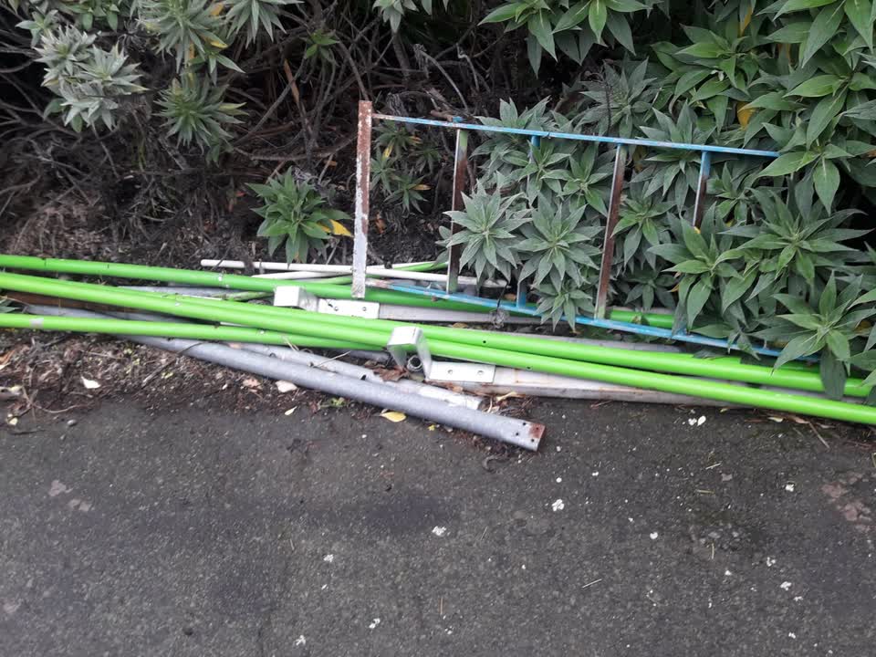 The photograph attached to this parks report
