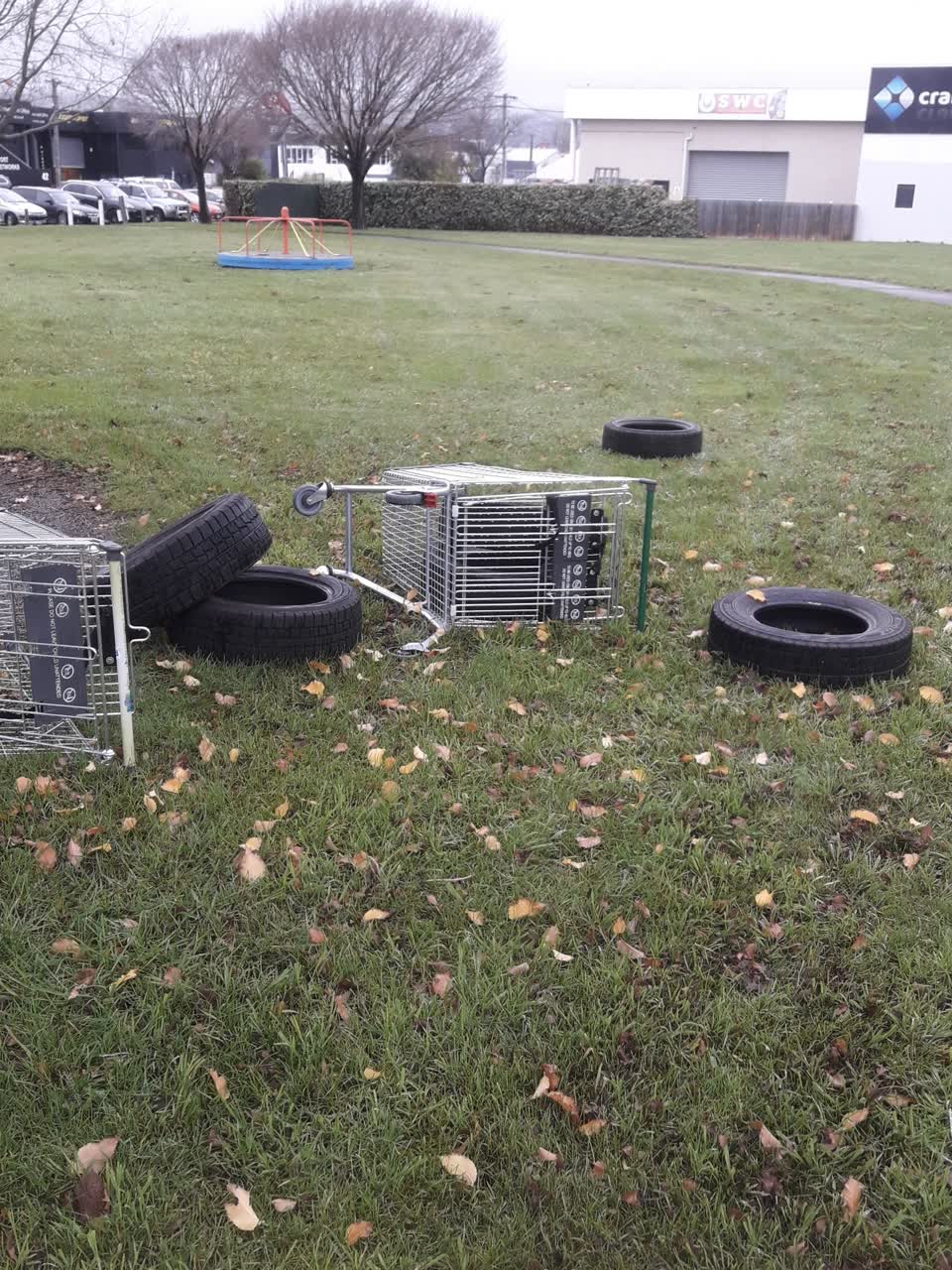 The photograph attached to this parks report